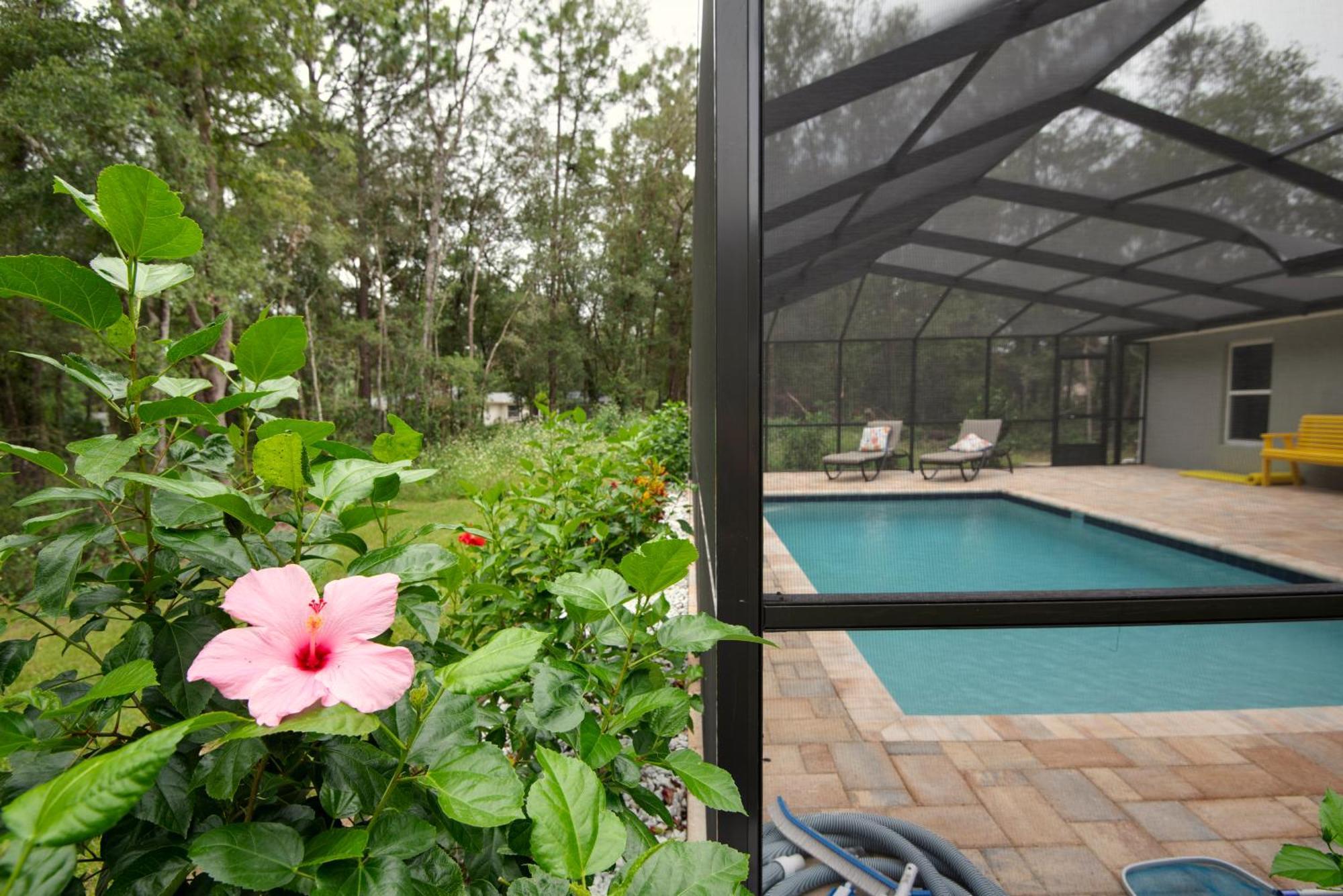 Pet-Friendly, Heated Pool, Close To Everything 3 Bedroom Home Dunnellon Extérieur photo